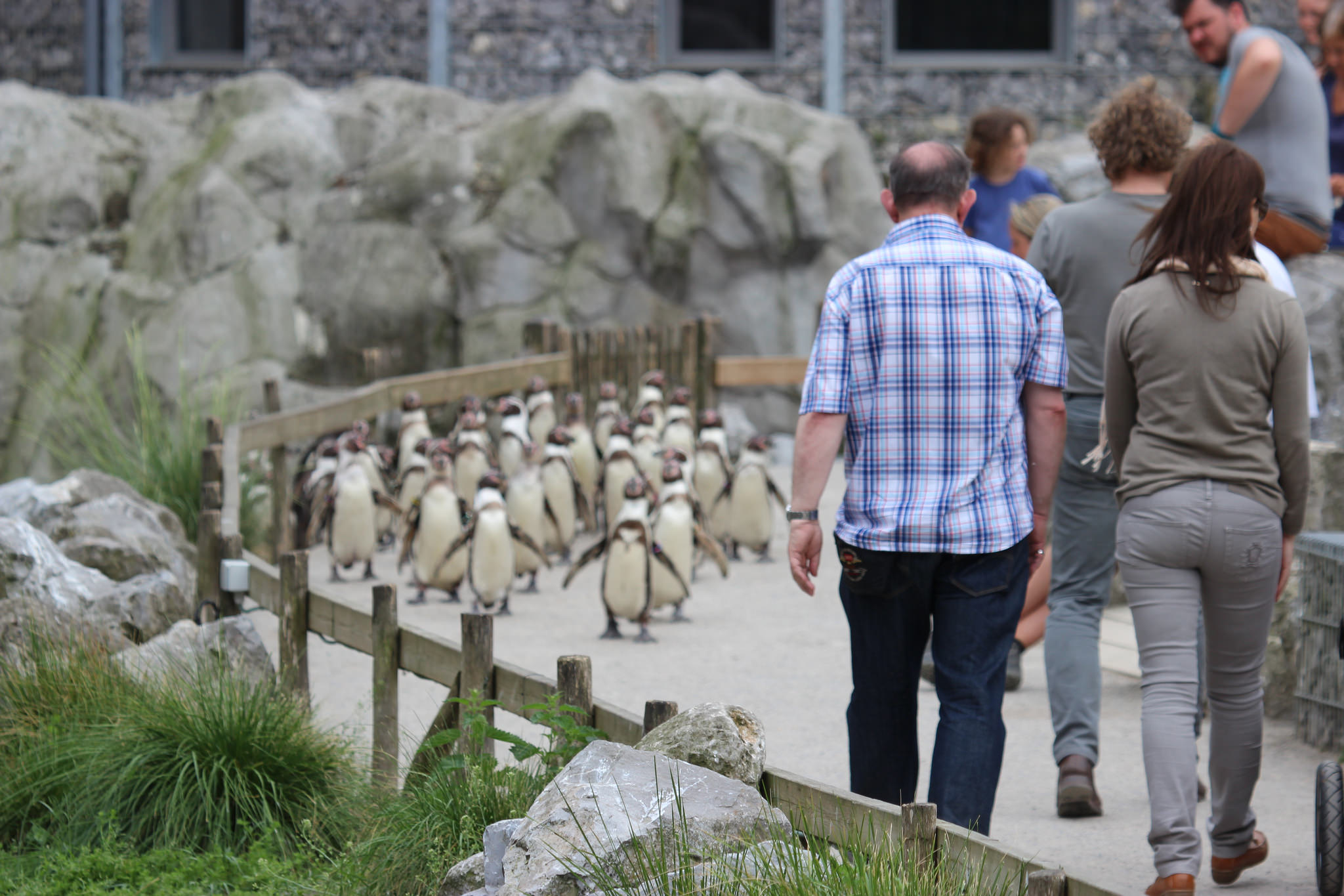 Dierenpark Planckendael